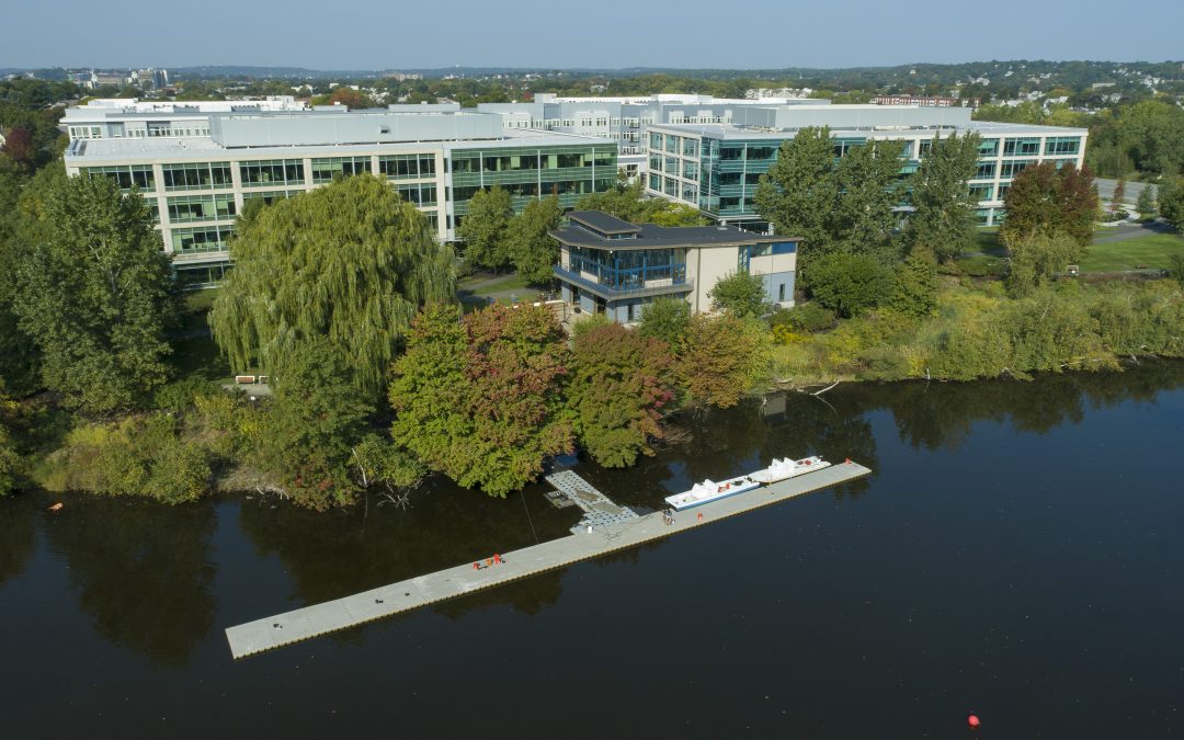 Tufts Alumni Row