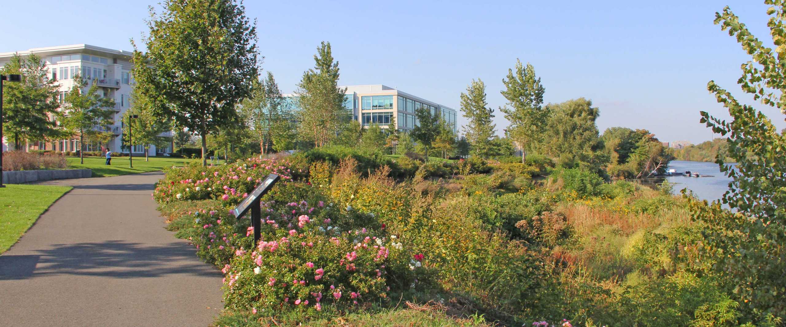 Park riverside garden