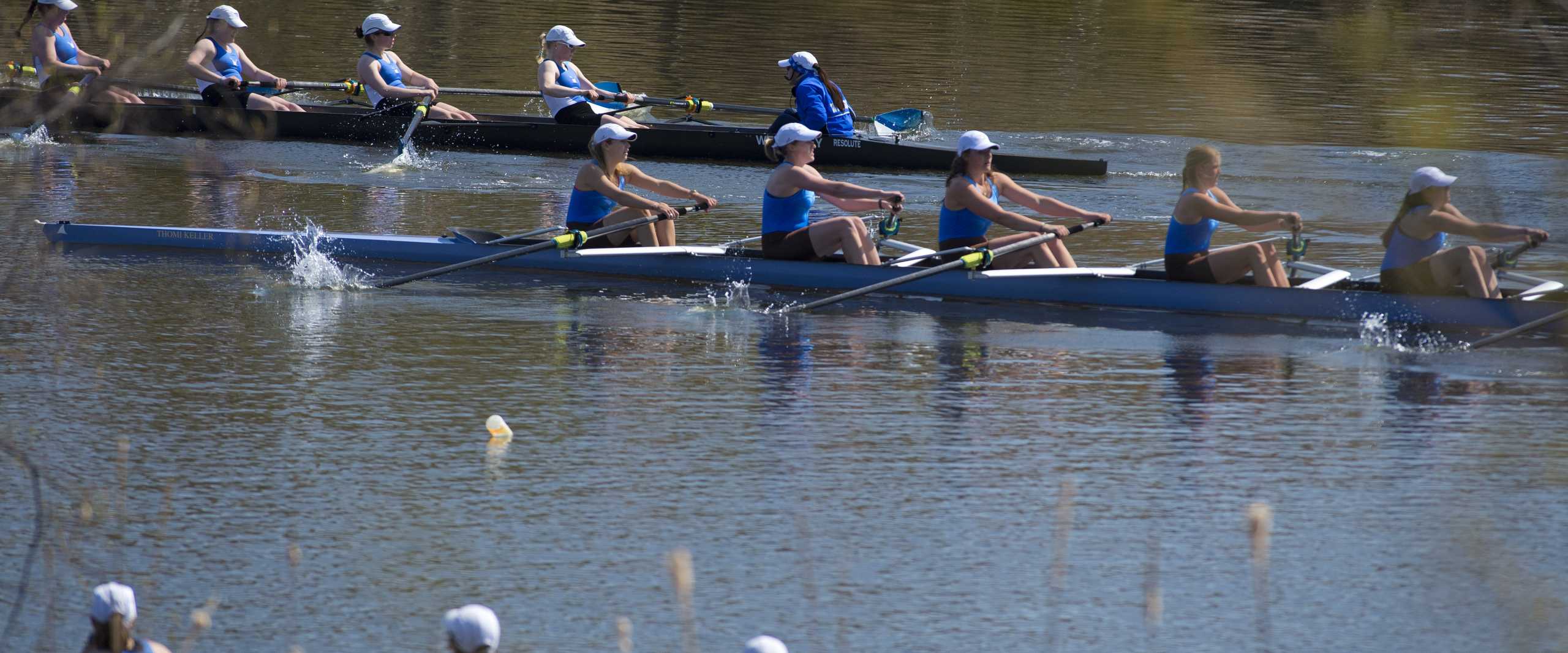 rowers at tufts regatta